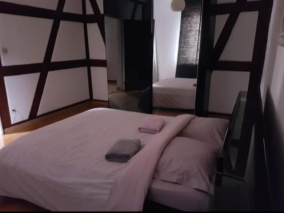 Spacious Appartement Colmar 2 Exteriör bild